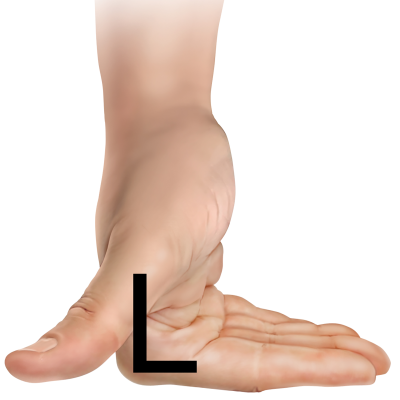 A hand positioned in an L shape.