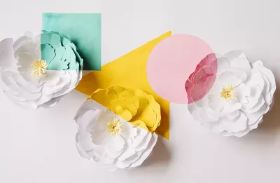 three geometric shapes, a square, circle, and triangle, overlayed on 3 white flowers.