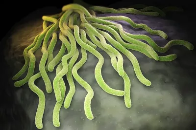 Glowing green, worm-like structures. 