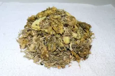 fresh and dry mix of ginger