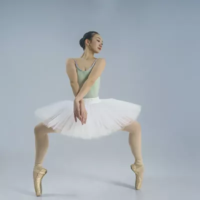 Dancer in plié position en pointe.