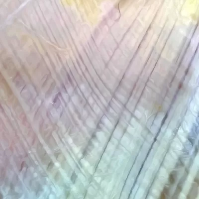 A magnified image of thoracolumbar fascia of the low back.