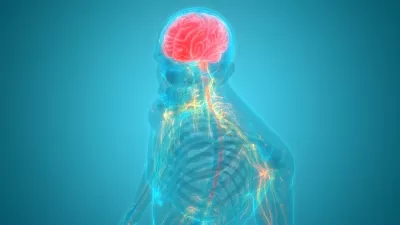 Illustration of human body with brain highlighted.