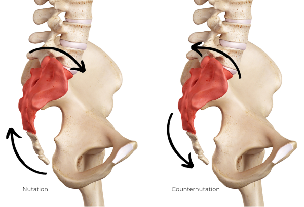 Image showing nutation and counternutation and movement.