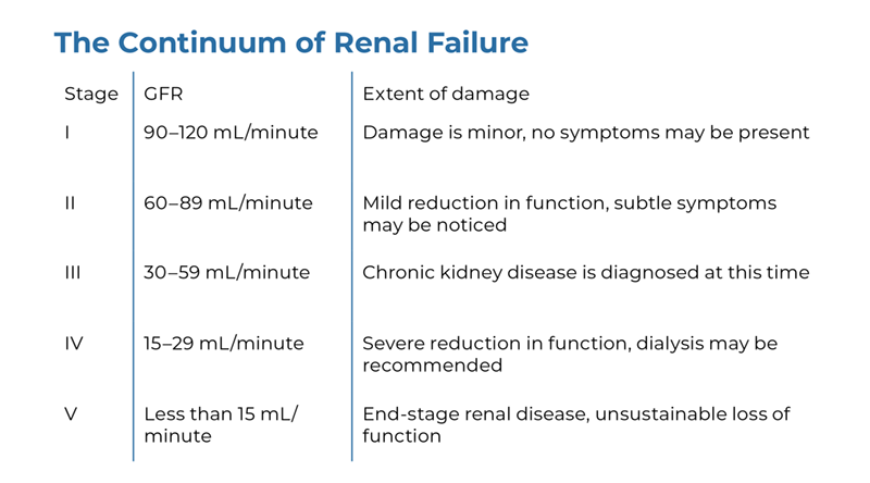 The Continuum of Renal Failure chart showing 5 stages of GFR filtration rates.