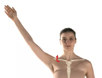 A woman lifts her right arm to show elevation of the clavicle.