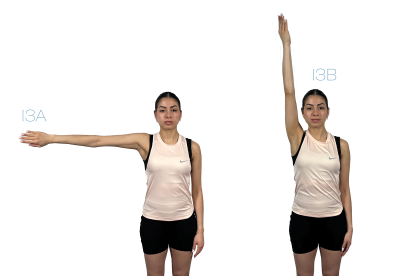 In image 13A, a woman raises her arm and medially rotates it. In Image 13B, the woman fully abducts her arm with lateral rotation.