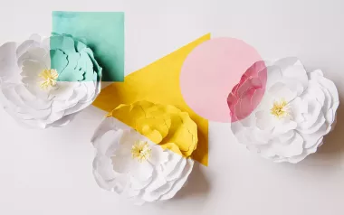 three pastel-colored geometric shapes overlayed over 3 white flowers.