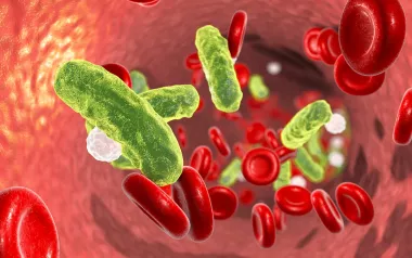 green bacteria floating around red and white blood cells in the body.