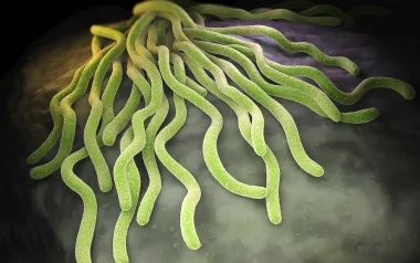 Glowing green, worm-like structures move across the page.