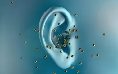 enlarged photo of an ear with small gold beads migrating from it.