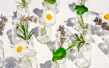 Flowers and plants in small, clear jars.