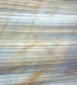 Up-close image of fascia.