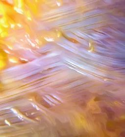 Close-up look at the rectus sheath.