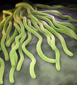 Glowing green, worm-like structures move across the page.