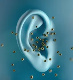 enlarged photo of an ear with small gold beads migrating from it.
