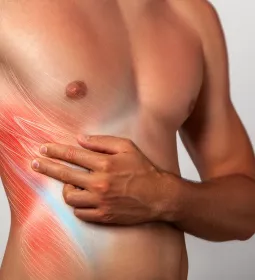 A male figure pulls hands and fingers across his transversus abdominis muscles.