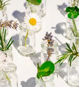 Flowers and plants in small, clear jars.