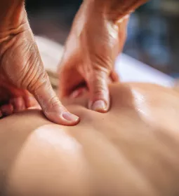 Close up image of a massage therapist's hands kneading the upper back of a client.