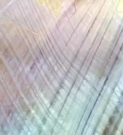 A magnified image of thoracolumbar fascia of the low back.