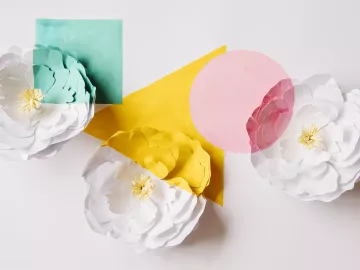 three pastel-colored geometric shapes overlayed over 3 white flowers.