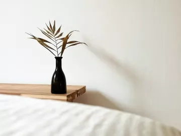 an empty spa service room with white walls and sheets with a single plant on the table.