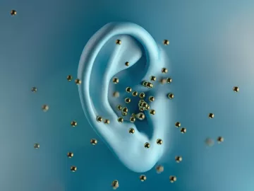 enlarged photo of an ear with small gold beads migrating from it.