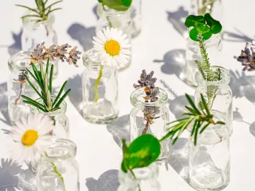 Flowers and plants in small, clear jars.