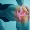 A person grabs their knee while the illustration shows inner tendons.