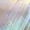 A magnified image of thoracolumbar fascia of the low back.