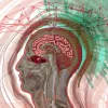 Illustration highlighting the brain with disjointed lines and paint splatter surrounding the head.